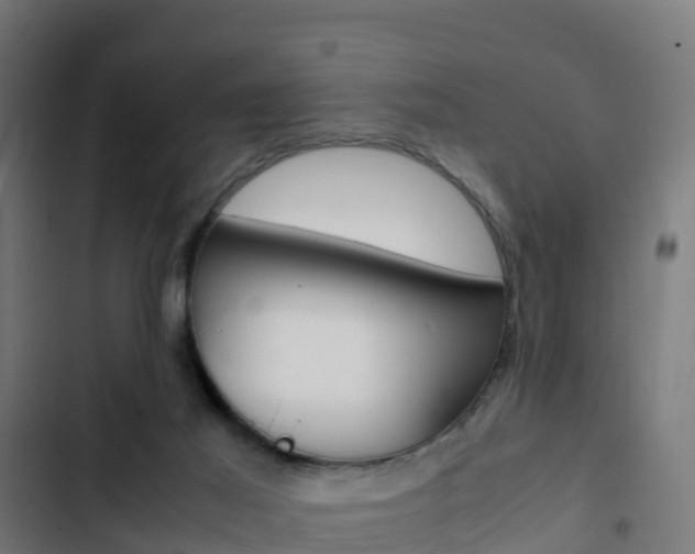 X0000103430021200809121048