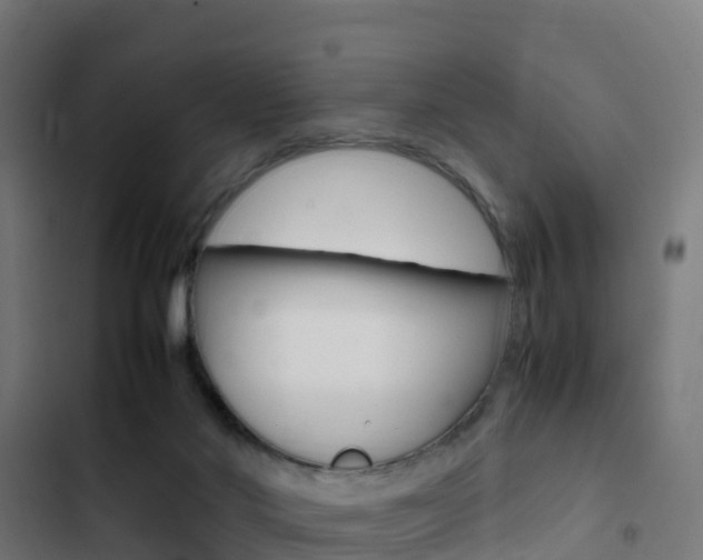 X0000103430022200809121048