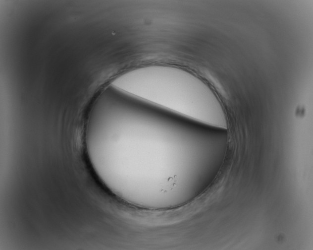 X0000103430023200809121048