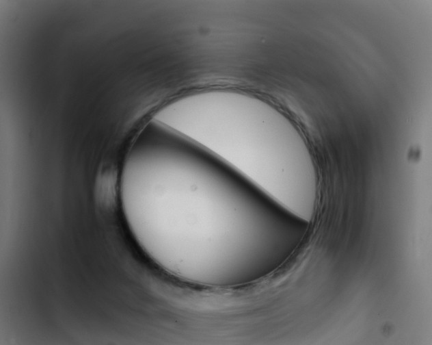 X0000103430024200809121048