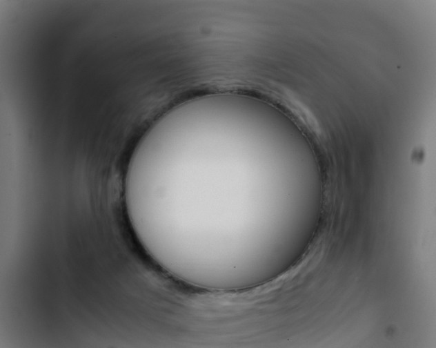X0000103430025200809121048