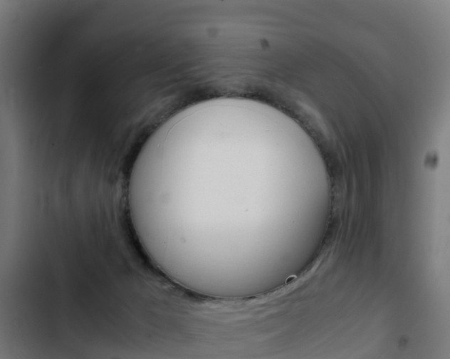 X0000103430029200809121048