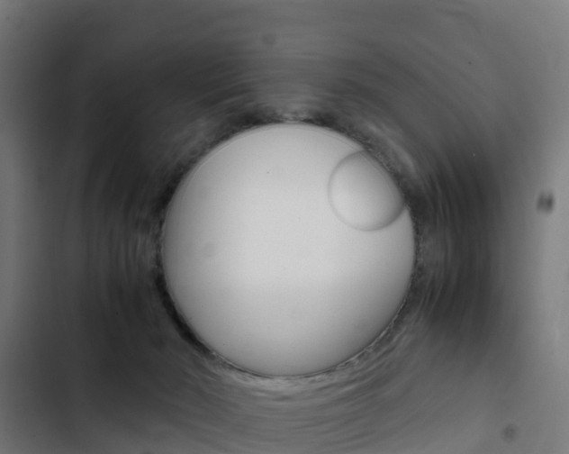 X0000103430030200809121048