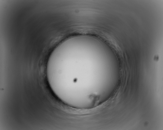 X0000103430031200809121048
