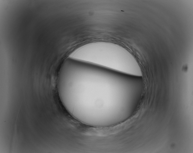 X0000103430033200809121048