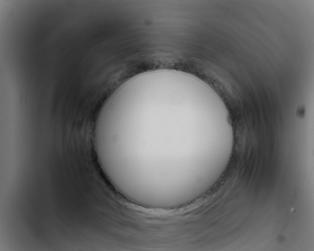 X0000103430034200809121048