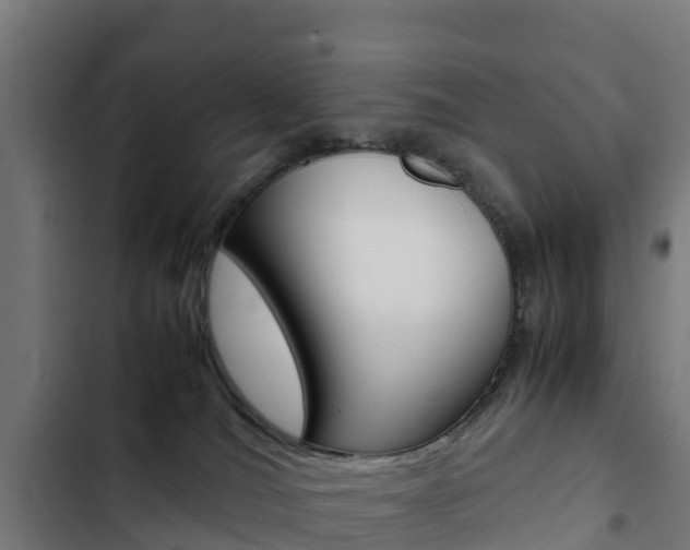 X0000103430036200809121048