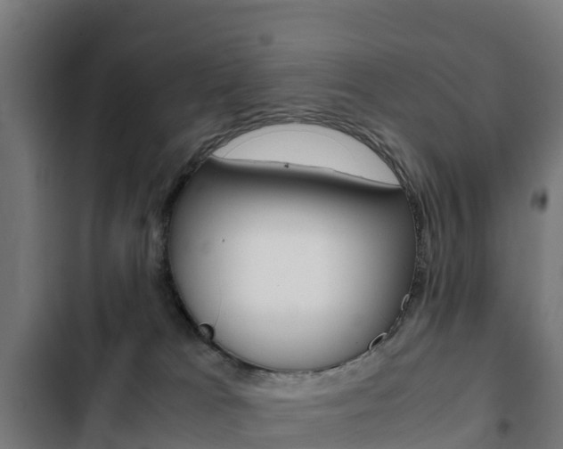 X0000103430037200809121048