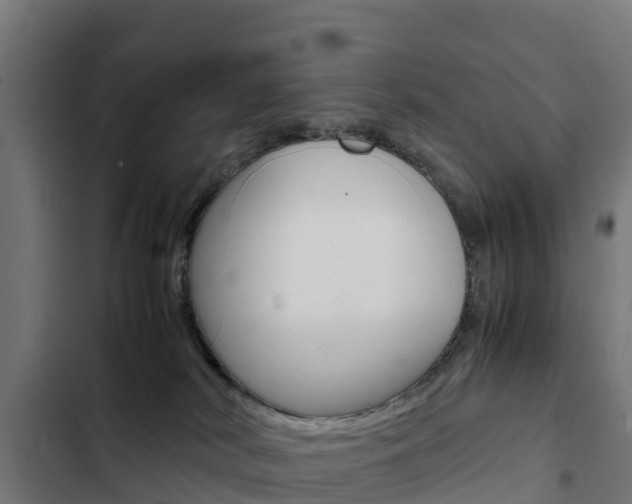 X0000103430038200809121048