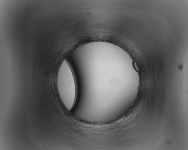 X0000103430040200809121047