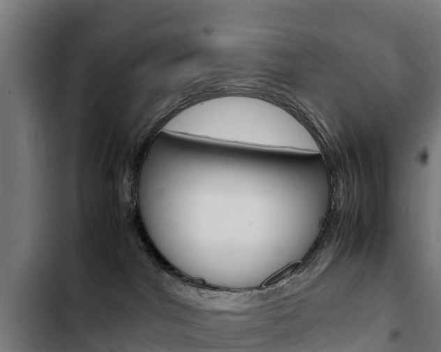 X0000103430044200809121047