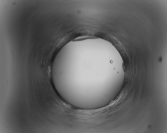 X0000103430045200809121047