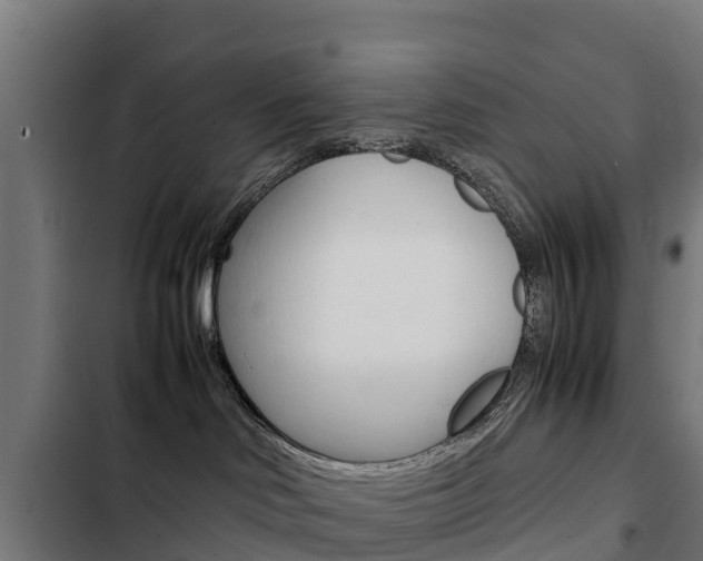X0000103430046200809121047
