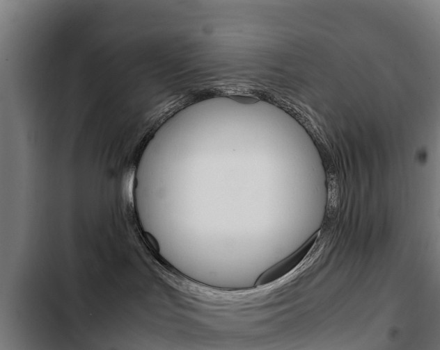 X0000103430047200809121047
