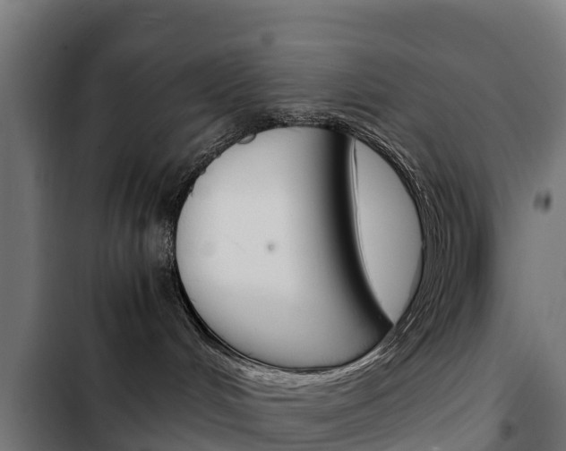 X0000103430048200809121047