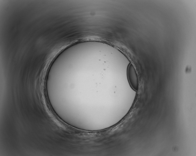 X0000103430049200809121047