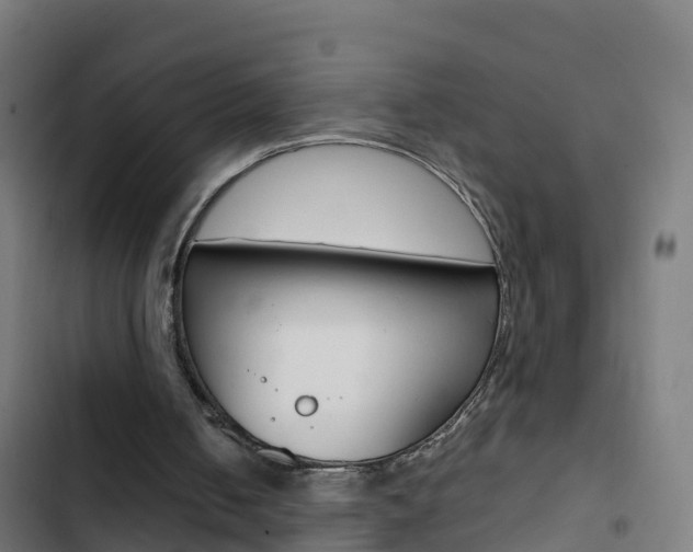 X0000103430050200809121047
