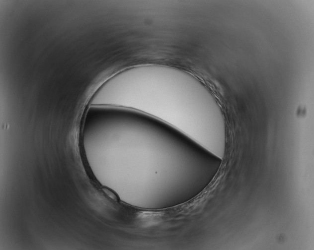 X0000103430051200809121047