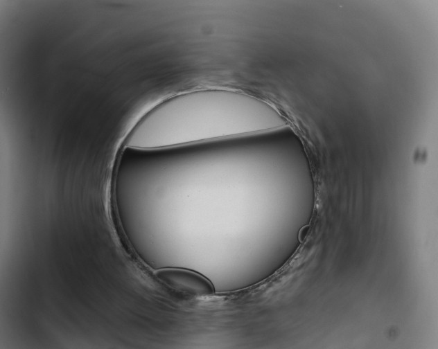 X0000103430052200809121047