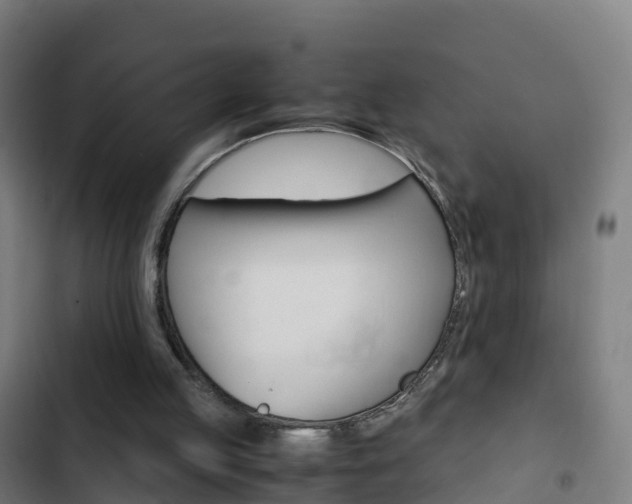 X0000103430053200809121047