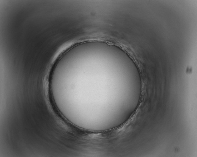X0000103430054200809121047