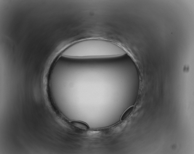 X0000103430055200809121047