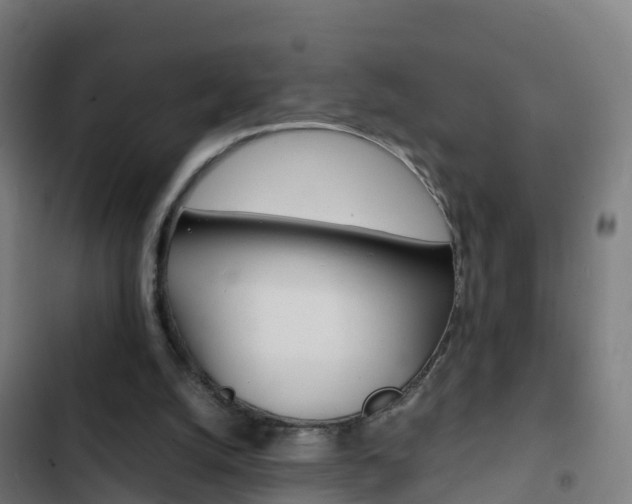 X0000103430056200809121047