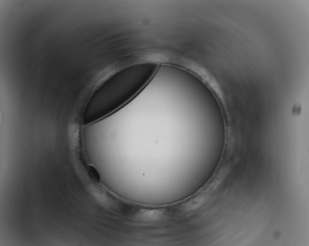 X0000103430057200809121047