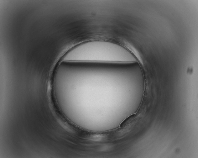 X0000103430059200809121047