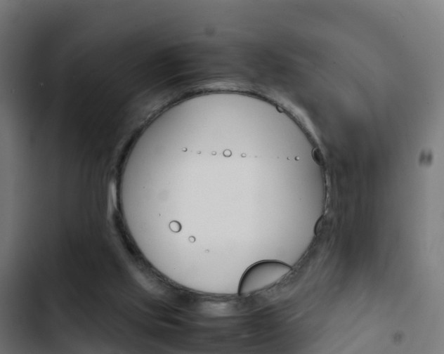 X0000103430061200809121047