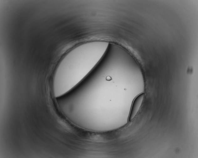 X0000103430062200809121047