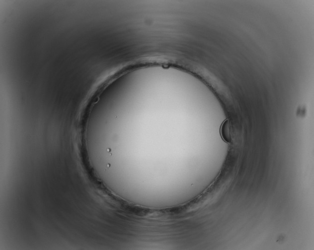X0000103430064200809121047