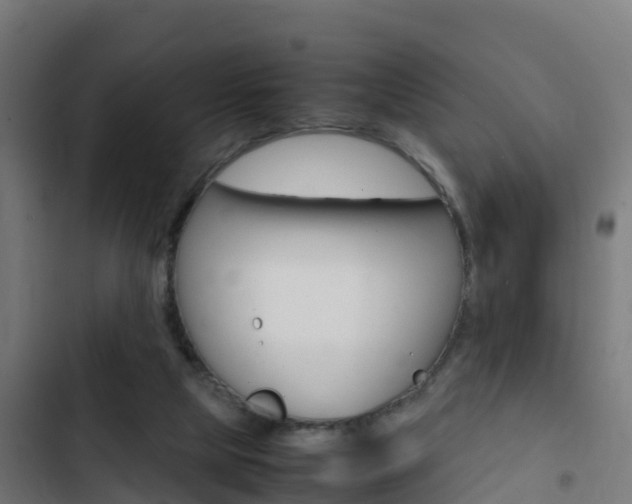 X0000103430065200809121047