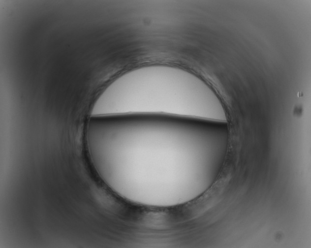 X0000103430066200809121047