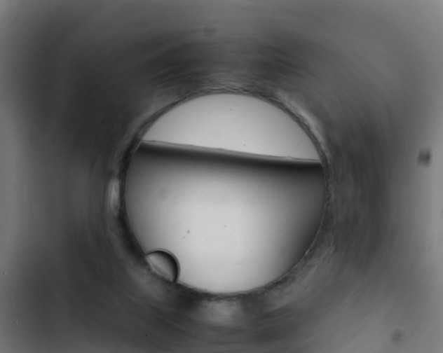 X0000103430067200809121047