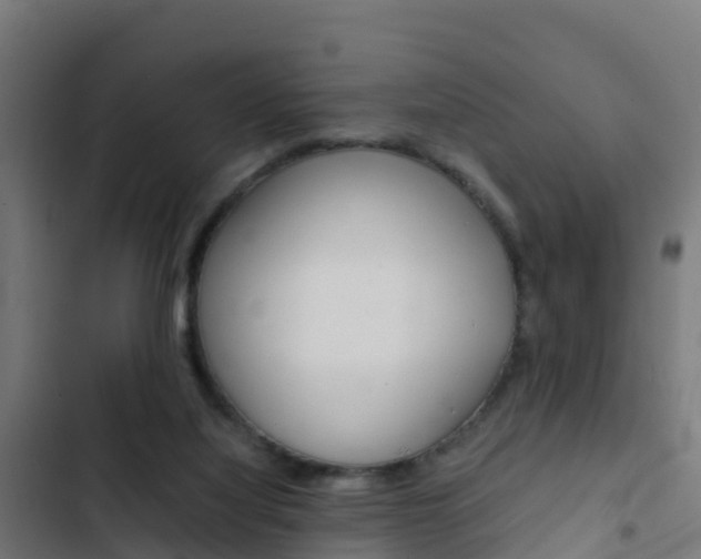 X0000103430068200809121047
