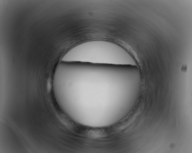 X0000103430069200809121047