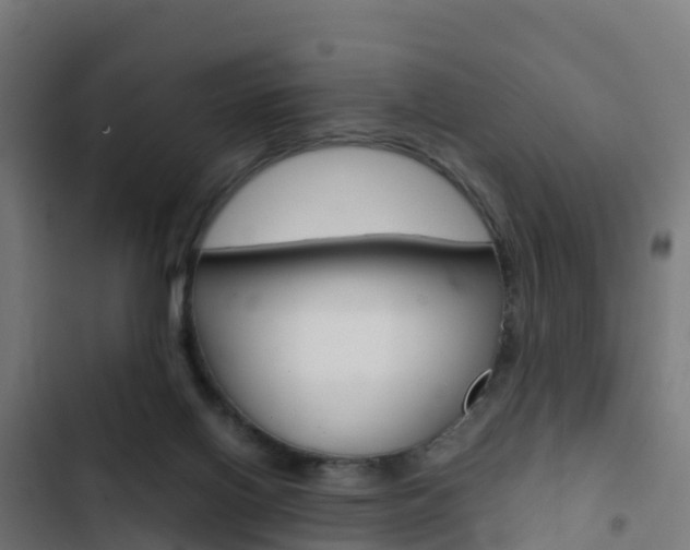 X0000103430070200809121047