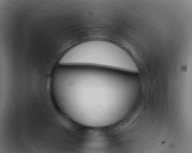 X0000103430071200809121047