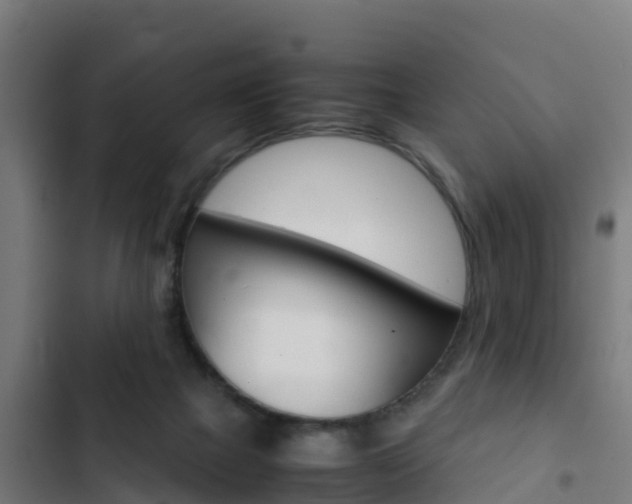 X0000103430073200809121047