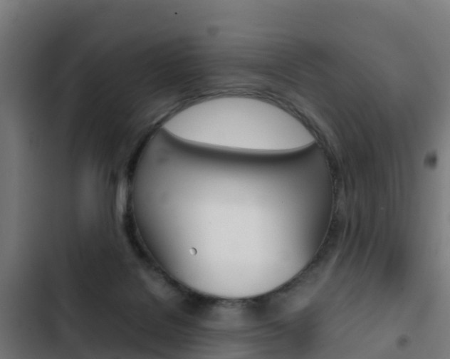 X0000103430076200809121047