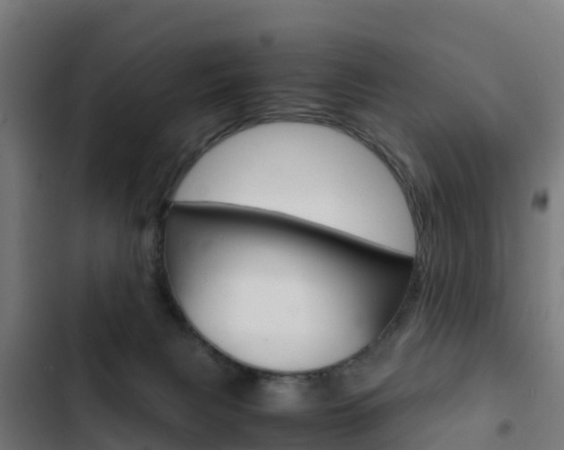 X0000103430079200809121047