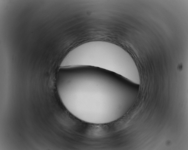 X0000103430083200809121047