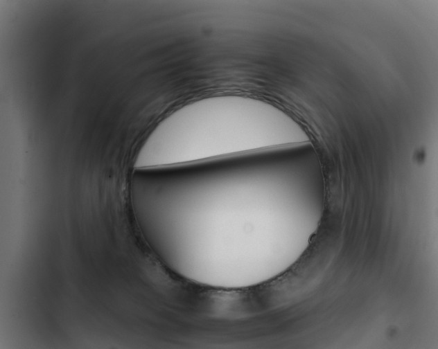 X0000103430085200809121047