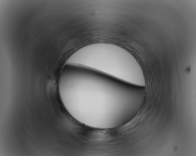 X0000103430086200809121047