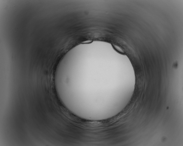 X0000103430087200809121047
