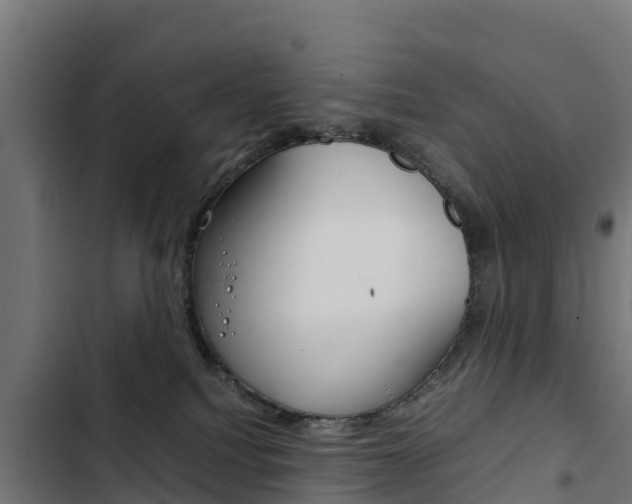 X0000103430088200809121047