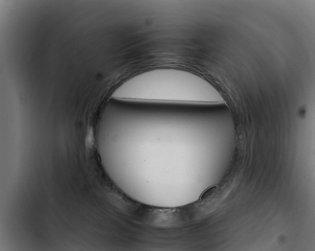 X0000103430089200809121047