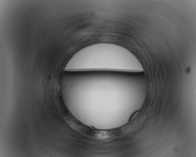 X0000103430091200809121047