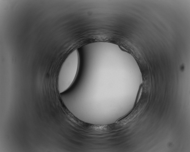 X0000103430093200809121047